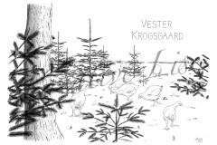 Vester Krogsgaard - økologisk landbrug i Thy