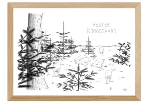 Varebillede Vester Krogsgaard plakat - håndtegnet af Kreative Lise
